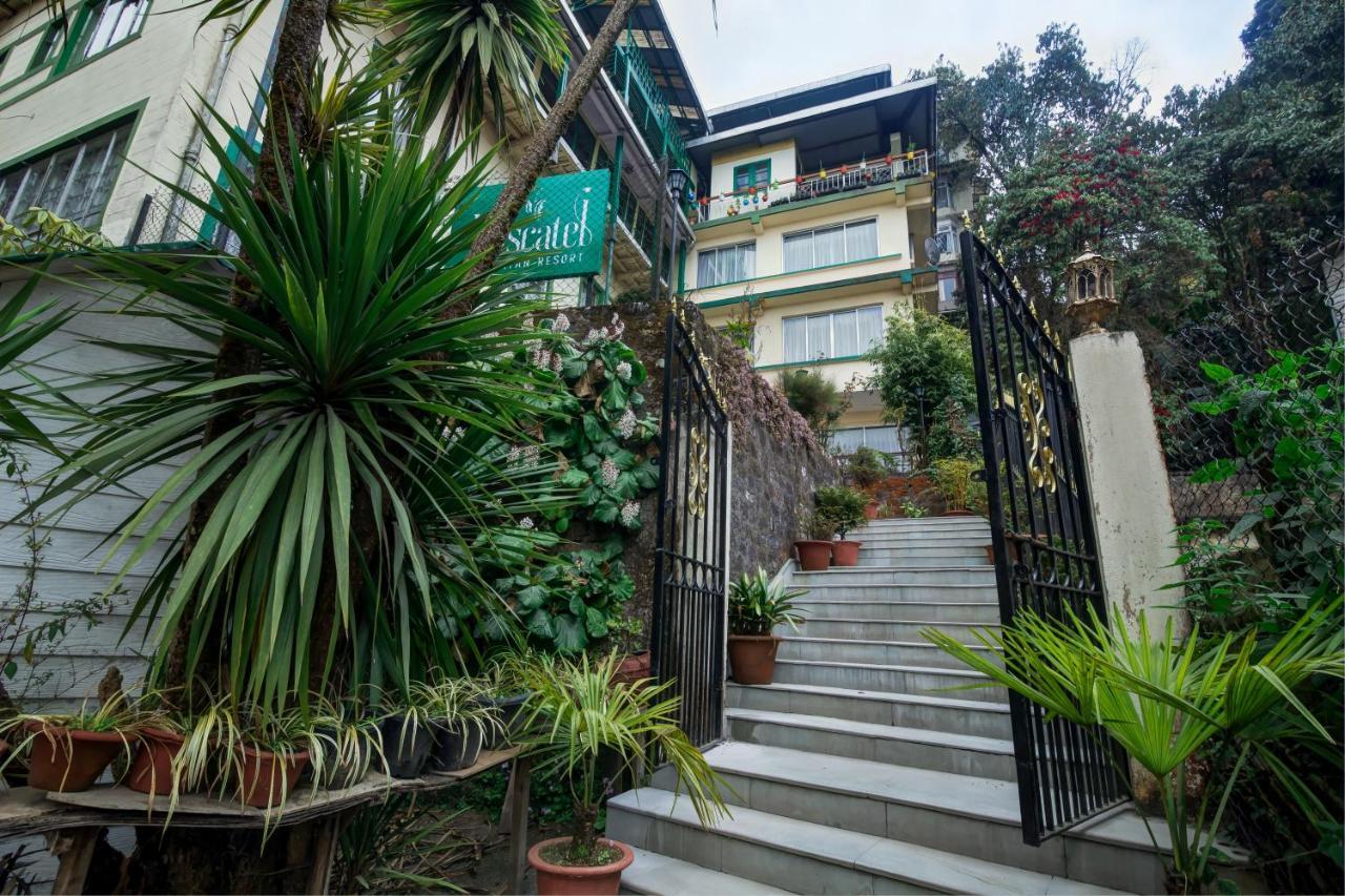 Muscatel Himalayan Resort - 400 Mts From Mall Road Дарджилинг Экстерьер фото